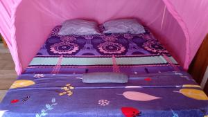 Tanjung Mansuar Homestay Raja Ampat