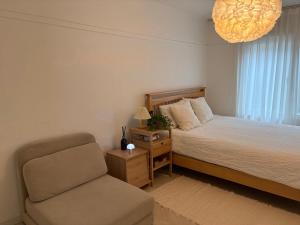 경북궁 도심 10분 거리