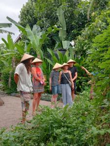 Daphne cooking class and guest house Senggigi