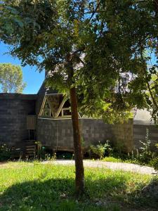 Puerto Varas - Nativa Domo Avellano