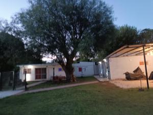 Los Colibríes del Valle