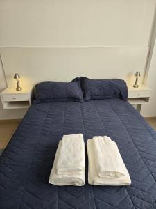 Departamento centrico