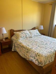 Cabañas Valles del Mañihuales