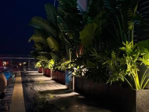 The Duke Home - Villas & Apartments - Sophia Center, The Duke Villa