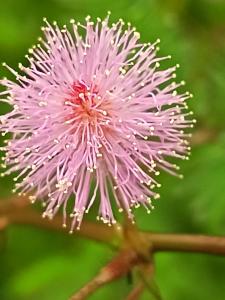 Villa Granja Agua Azul-wi-fi-AC-6 Personas-parqueo