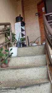 Ingeritch Cabin Family Barkada Homestay