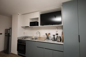 Depto Studio céntrico Full equipo - UDEC Hospital