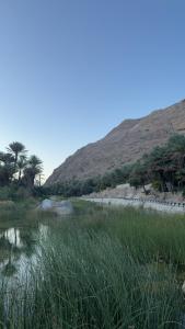 Wadi hawer tour guiding and local farm tour