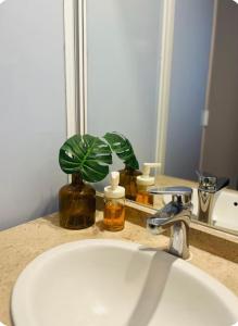 Beautiful, central and functional apartment