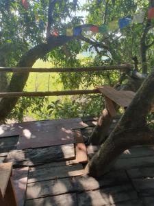 Pemsees Tree Town - Eco Treehouse Hostel