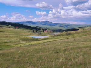 Shalom Mountain & Fly-Fishing Lodge