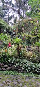 Hadi Homestay Garden View