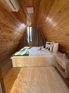 Liniștea Muntilor Cartioasra