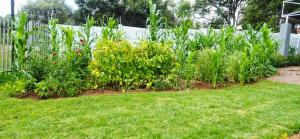 The Cozy 2 bedroom Apartment