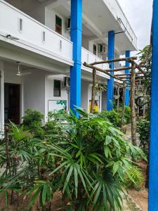 Canggu Surf Hotel - Arugam Bay