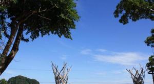 Khaothong Terrace Resort