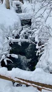 馬舍楓 Umaya Kaede