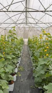 Montana Cotswolds Resort