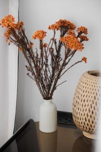 Best Phangan Seaview 3 bedrooms Villa Chaloklum