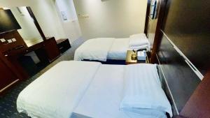 فندق سكن خيال الفندقية