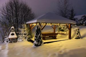 Zielony Raj - Bieszczady