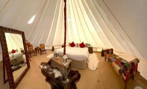 Arabian Nights Luxury Glamping