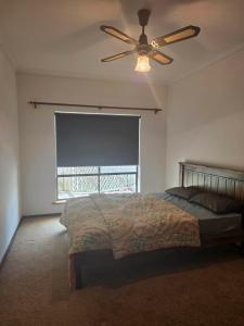 The Sea-Soul Sanctuary