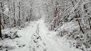 Relax Trois Bornes - De Grenspost