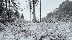 Relax Trois Bornes - De Grenspost