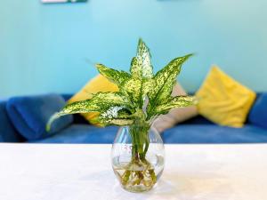 Vung Tau Melody Apartment Long Term Please contact after reservation