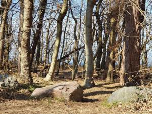 6 person holiday home in Asnæs-By Traum