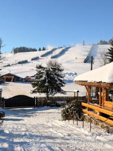 Domek KALINKA -Góry Sowie-Rzeczka