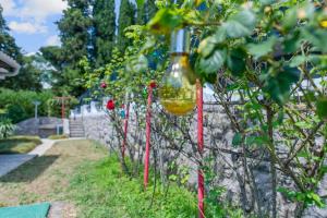 Villa Nada, green paradise by the sea and beaches