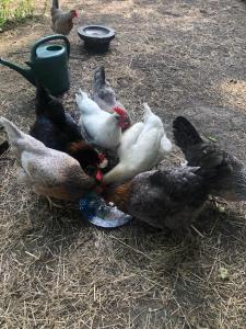 Spinnaker Barn, boutique, cute barn with hot tub