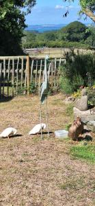 Spinnaker Barn, boutique, cute barn with hot tub