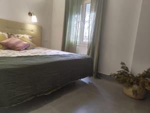 Amplia Habitacion Independiente con baño privado