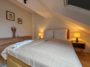 soulscape Citylight Apartments - LOFT - saniert, 2 Schlazimmer, modern, zentrumsnah, gratis WIFI