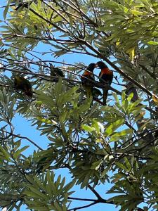 Seaside Escape, Ventnor