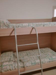 Bright villa flat with shared garden