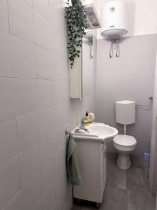 The Horse Monument Hostel