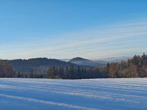 Wierzbowy Jar - Natura Spokój Sauna Kominek Karkonosze