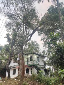 VY3 Homes