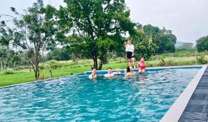 The Wild Elephant Resort