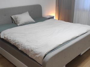 Casa Teresia Davos Platz