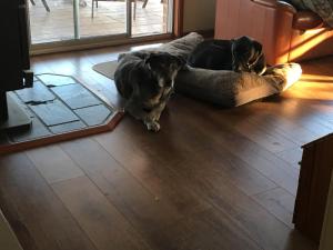 Peaceful rural setting to relax and recharge