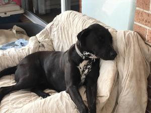 Peaceful rural setting to relax and recharge