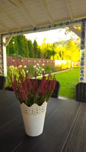 Domek GORCZAŃSKA KOLIBA w Gorcach