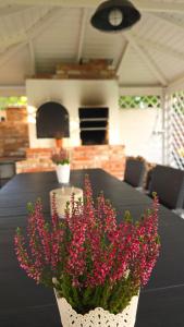 Domek GORCZAŃSKA KOLIBA w Gorcach