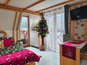 Lux Houses w DOMKU tylko DWA APARTAMENTYz jacuzzi zewnętrznym