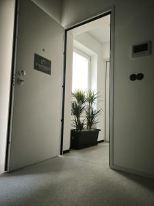 Fado in Porto - Porto Velho Apt